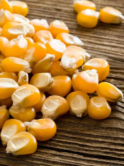 ذرة منفوش فلت